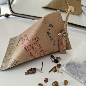 Sacchetto di semi per seminare berlingot matrimonio - battesimo, compleanno, regalo per ospiti di campagna
