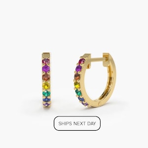 Rainbow Earrings / Gradient Rainbow Huggie Earrings / 14k Gold 10MM Multi-Color Huggie Hoop Earrings / Multi-Color Small Hoop Earrings