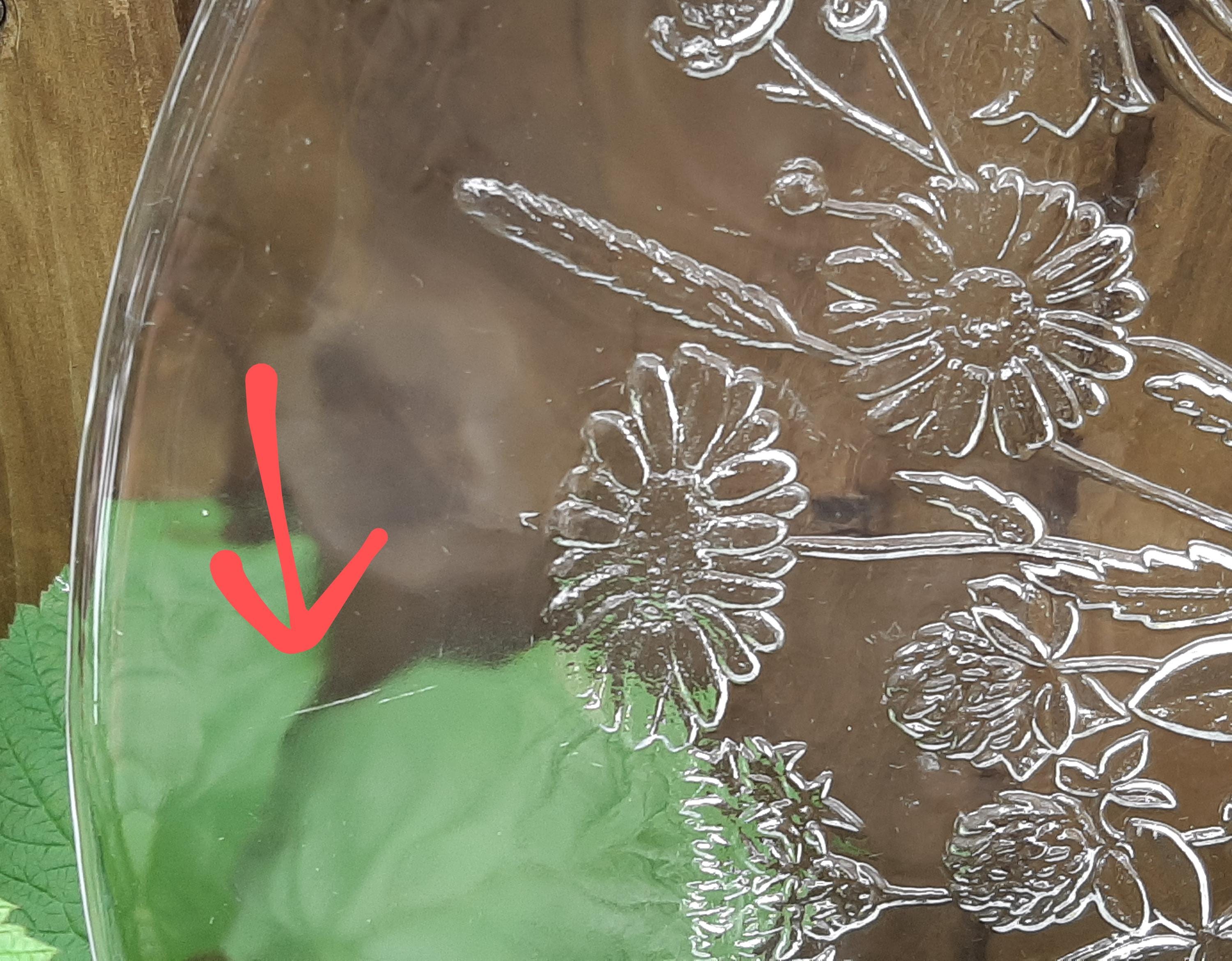 Kosta Boda Ulla Glass Platter Design by Kjell Engman - Etsy