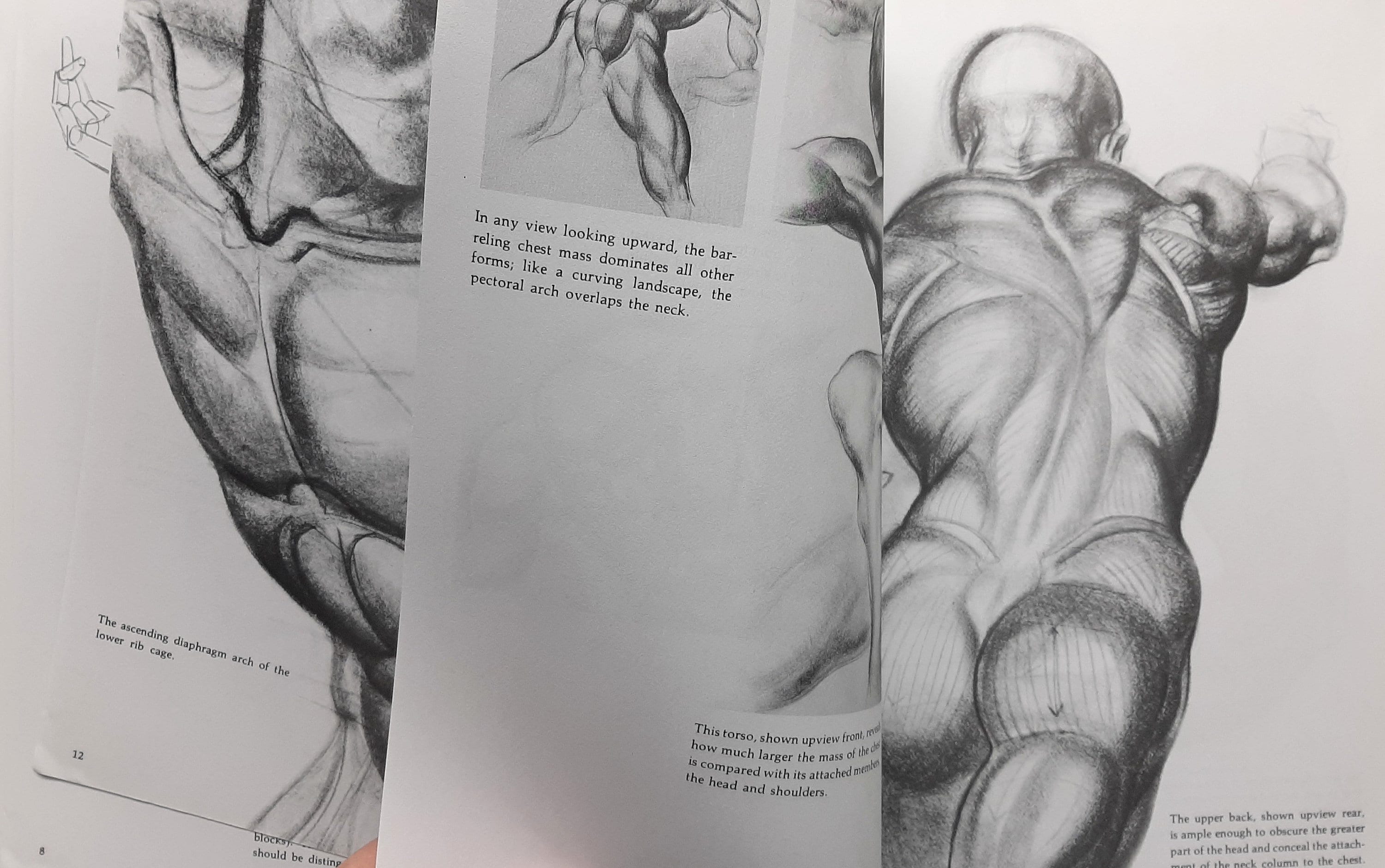 Dynamic Figure Drawing Book by Burne Hogarth - Etsy