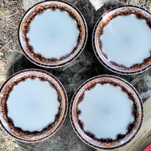 May include: Four round ceramic plates with a light blue center and a brown and dark brown rim. The plates are arranged on a wooden surface, showcasing their unique design and color palette. The plates are a vintage style.