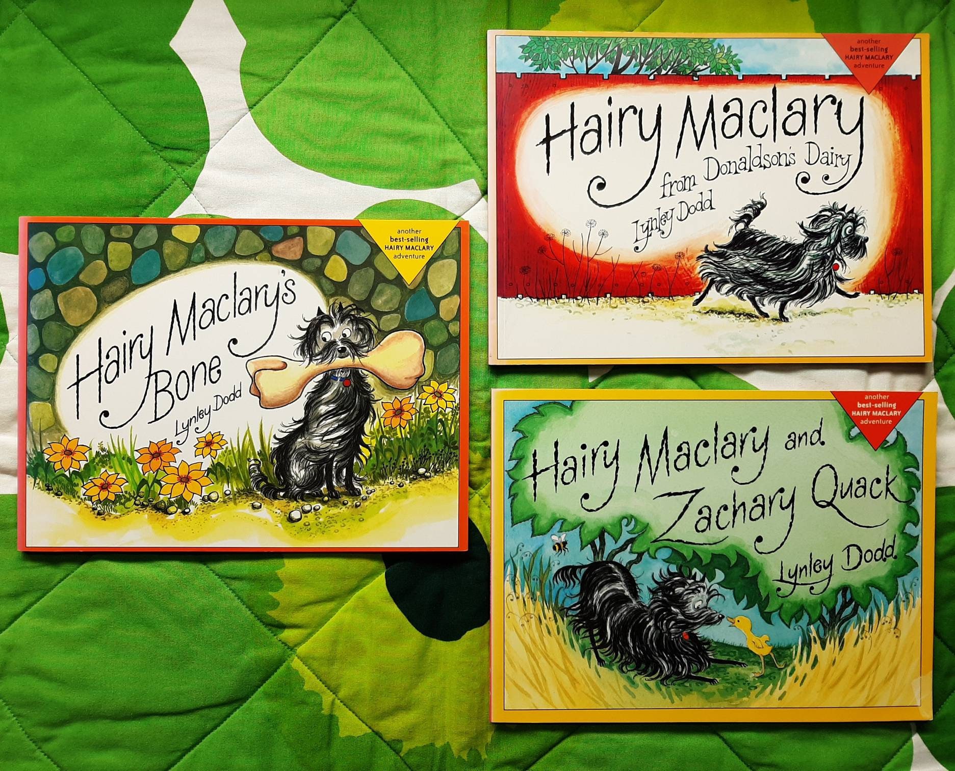 hairy maclary hairy maclary from donaldson hairy maclary hairy maclary from donaldson