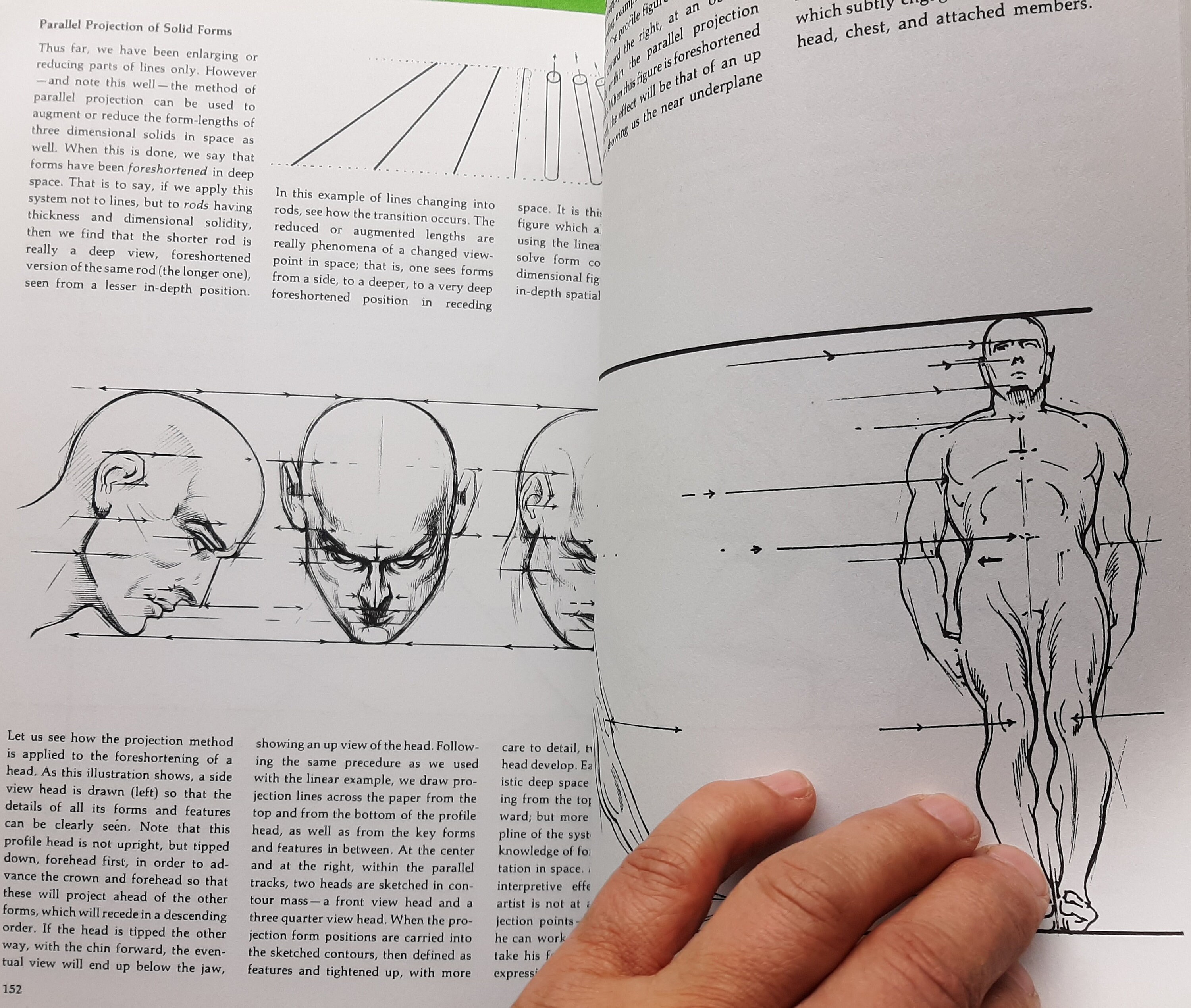 Dynamic Figure Drawing Book by Burne Hogarth - Etsy