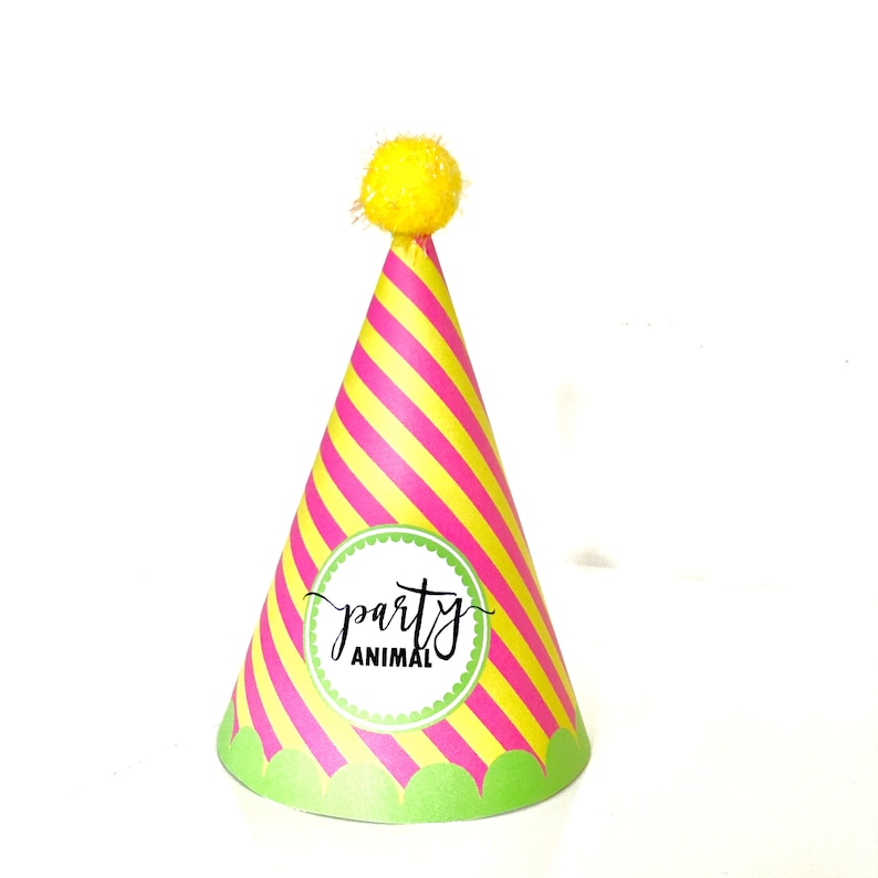 Animal Party Hats INSTANT DOWNLOAD PRINTABLE Colorful Kids - Etsy