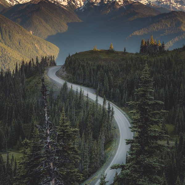 Olympic National Park / Windy Mountain Road / PNW Landscape / Landscape Photography / Washington State / Housewarming Gift / Photo Print Act