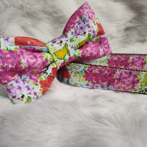 Golf Dog Collar ~ Caddie Dog Collar ~ Green Golf Dog Collar ~ Sports Collar ~ Gift for Golf lover