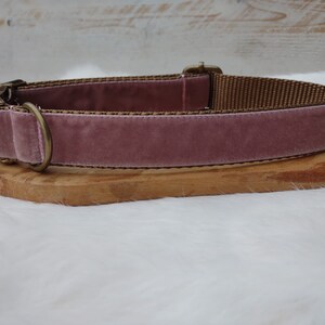 Blush Velvet Dog Collar -  Holiday Velvet Dog Collar - Pink Velvet Dog Collar