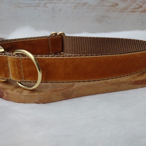 Gold Velvet Dog Collar - Yellow Velvet Collar - Holiday Velvet Dog Collar