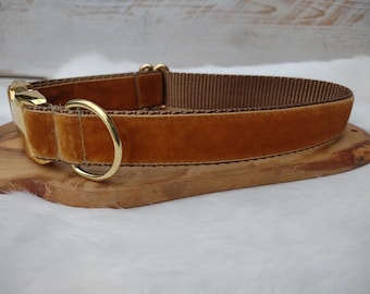 Gold Velvet Dog Collar - Yellow Velvet Collar - Holiday Velvet Dog Collar