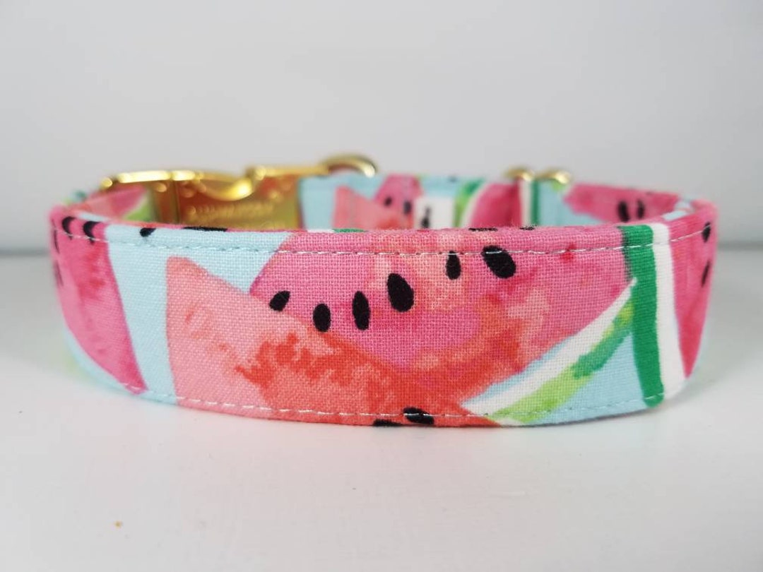 Watermelon Dog Collar Summer Dog Collar Pink Dog Collar Etsy