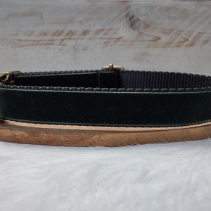 Forest Green Velvet  Dog Collar -  Holiday Velvet Dog Collar - Green Velvet Dog Collar