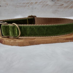 May include: A green velvet dog collar with a brass buckle and D-ring.