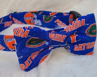 Florida Gator Dog Collar ~ Florida Pride ~ Swamp Dog collar