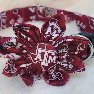 Texas A & M  Dog Collar ~ Auggies ~ University football NCAA ~ Texas College Football Dog Collar ~ Texas Dog Collar