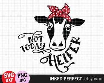 Not Today Heifer Svg Etsy