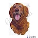 Golden Retriever -machine Embroidery Design, Embroidery Designs ...