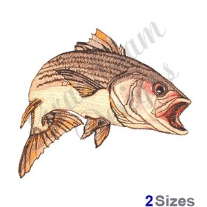 Pode incluir: Um emblema bordado apresentando um robalo listrado com a boca aberta. O peixe tem listras horizontais marrons e bronzeadas ao longo do corpo, barbatanas detalhadas e um olho escuro. O texto 2 Sizes está impresso em azul no canto inferior direito.