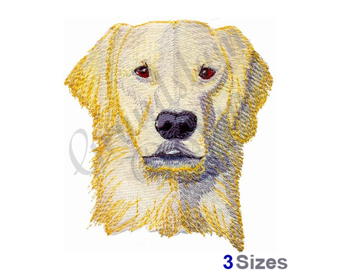 Lab Machine Embroidery Design Golden Lab - Machine Embroidery Design - Etsy