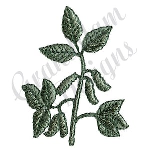 May include: A green embroidered design of a leafy branch with five leaves and five small buds.