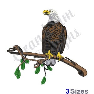 Bald Eagle On Branch - Machine Embroidery Design 3 sizes