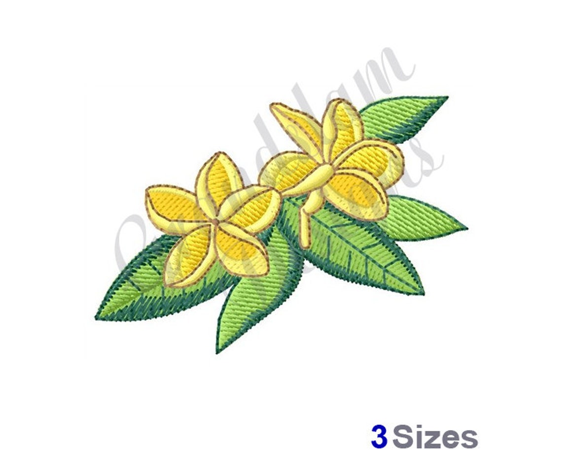 Plumeria Flower Machine Embroidery Design Embroidery Etsy