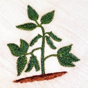 Soybean Plant - Machine Embroidery Design, Embroidery Designs, Machine Embroidery, Embroidery Patterns, Embroidery Files, Instant Download