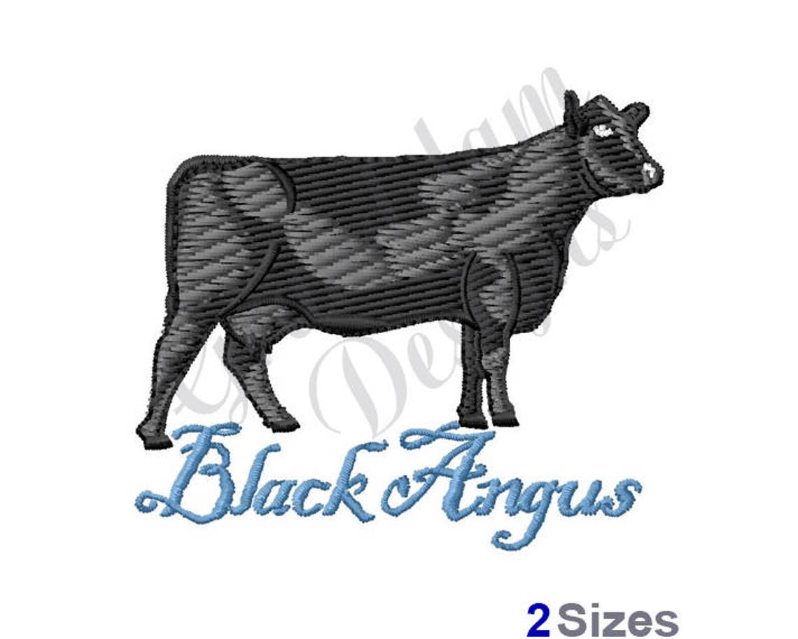 Black Angus Cow Machine Embroidery Design Etsy