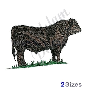 Black Angus Steer - Machine Embroidery Design - 2 sizes