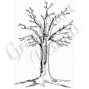 Könnte beinhalten: Eine Schwarzweiß-Zeichnung eines kahlen Baumes mit vielen Ästen. Der Baum hat einen dicken Stamm und eine breite Basis.