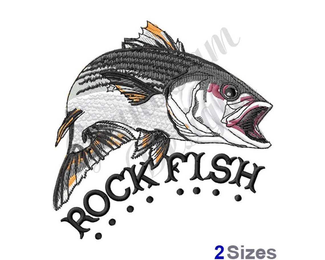 Rockfish Striped Bass Machine Embroidery Design Embroidery Etsy