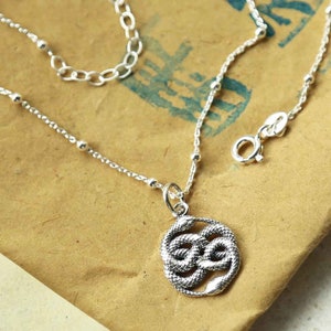 Può includere: Una collana d'argento con un ciondolo raffigurante due serpenti intrecciati. La catena è sottile, con piccoli dettagli di perline e una chiusura a moschettone. Il ciondolo presenta un design dettagliato e strutturato di squame e curve. La collana è mostrata su una superficie marrone.