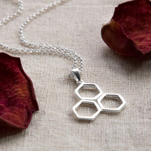 Könnte beinhalten: Eine silberne Halskette mit einem Anhänger aus drei verbundenen sechseckigen Formen. Die Kette ist filigran und der Anhänger glänzend. Der Hintergrund ist ein neutraler beiger Stoff mit dunkelroten Rosenblättern.