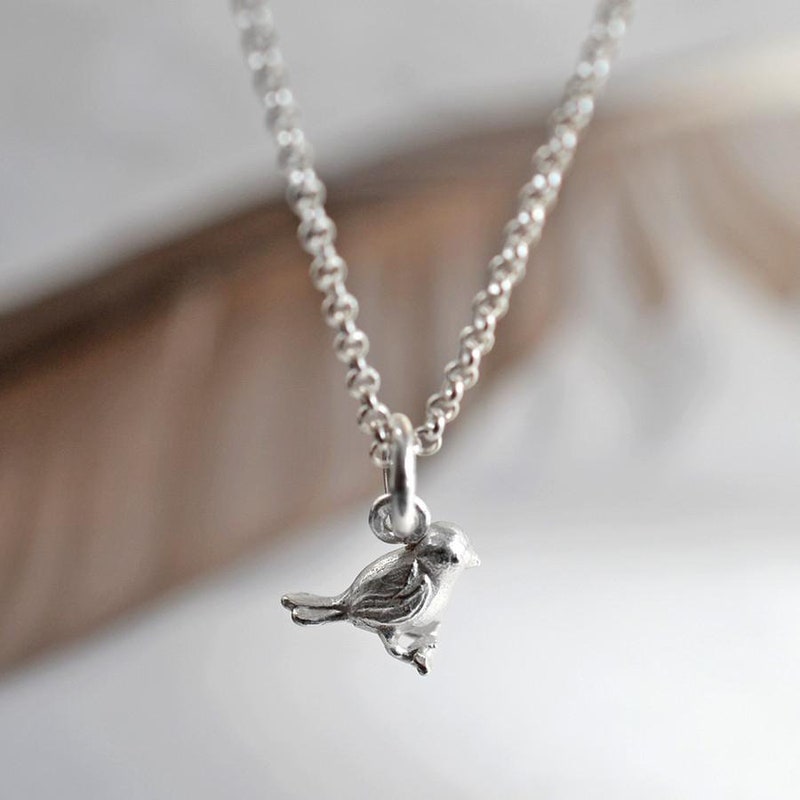 Vintage Birds Necklace In Silver main image 1