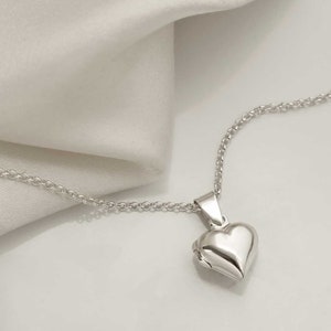 Collar con medallón de corazón pequeño de plata de ley