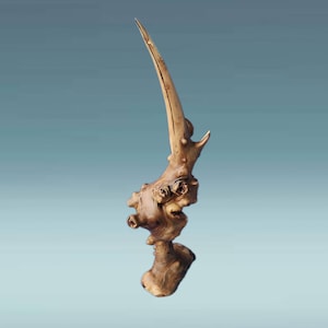 Wooden bird, bird, carevd bird, bird statue, burl bird, handmade birds, bird sculpture, bird figurine