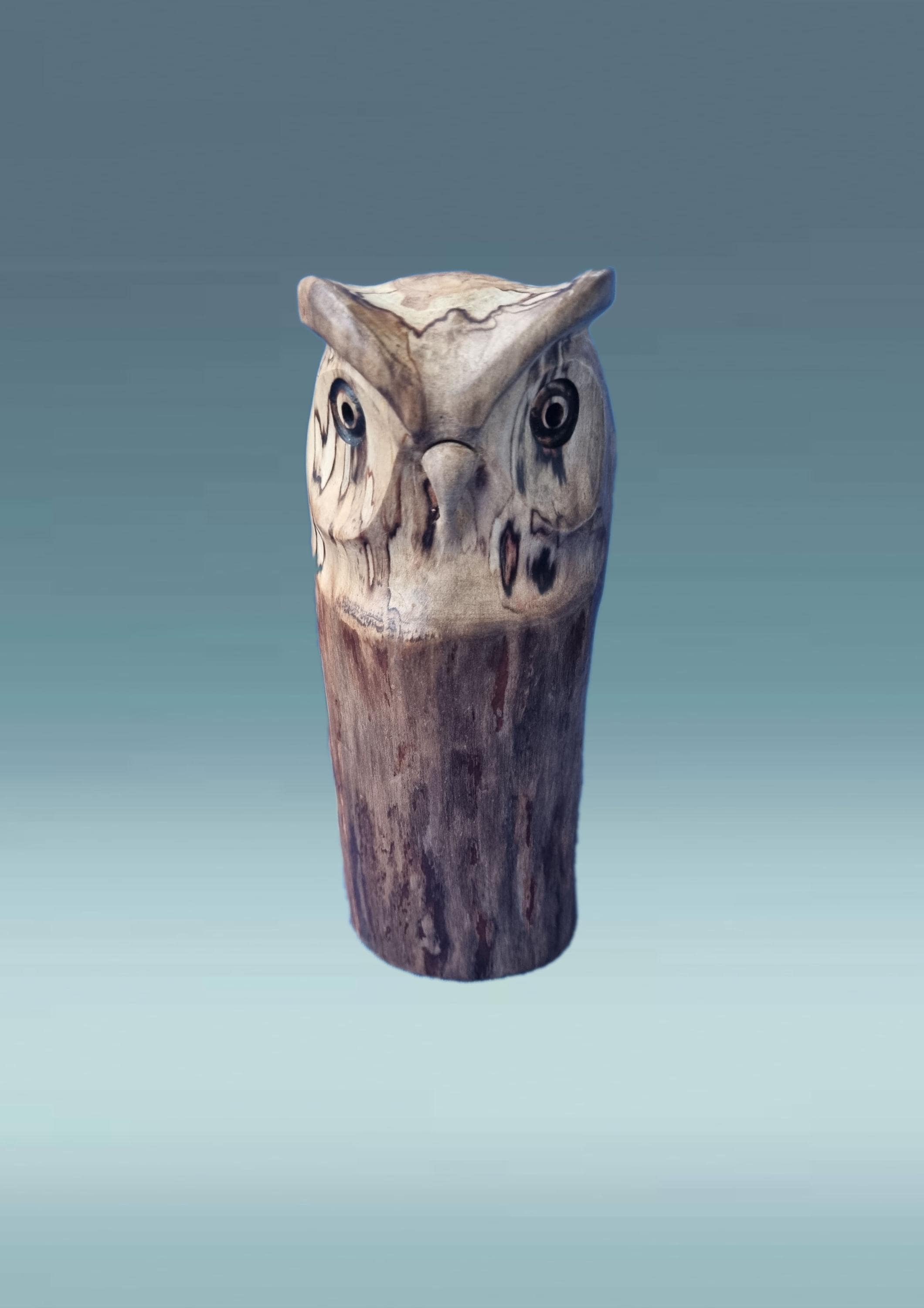 Hand carved Owl, Wooden owl sculpture,  Hand carved owl, Rustic home decor, Bird lover gift, Unique 