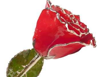 Personalized Forever Rose - Red with Silver Trim - Hand Made from a Real Rose!