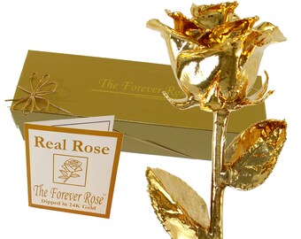 Featured image of post Steven Singer Yellow Rose