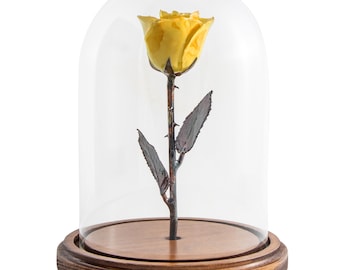 Enchanted Yellow Rose: Beauty and the Beast Inspired, Forever Rose, VS