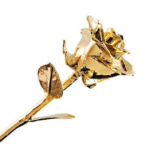 Personalized Forever Rose - Real Rose Dipped in 24K Gold, Hand Engraved Stem - Includes Gift Box