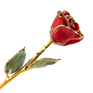 The Forever Rose - Real Red Rose Hand Trimmed in 24K Gold + Gold Gift Box - Great for Mother&#39;s Day