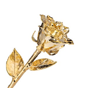 Echt Forever Rose - Vollständig in 24K Gold getaucht - Inklusive Geschenkbox