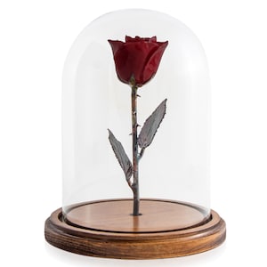Original Enchanted Rose - Beauty and the Beast Rose by The Forever Rose - Real Deep Red (Burgundy) Rose on Wood Base with Glass Dome