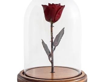 Enchanted Burgundy Rose: Beauty and the Beast Inspired, Real Rose in Glass Dome