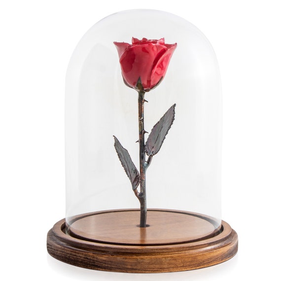 Enchanted Rose: Beauty and the Beast Inspired Preserved Rose in