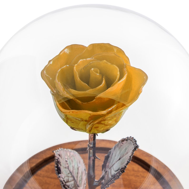 Forever Rose USA The Beauty and the Beast Rose Enchanted Rose This is a Real Yellow Rose preserved to last forever, Made In The USA image 6