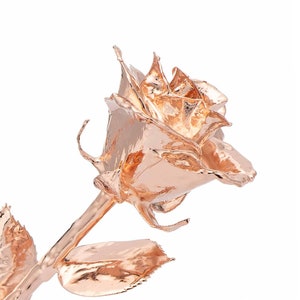 Real Rose Dipped in Rose Gold + Gold Gift Box by The Forever Rose