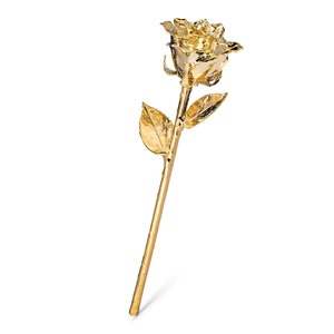 Real Forever Rose Fully Dipped in 24K Gold Includes Gift Box - Etsy