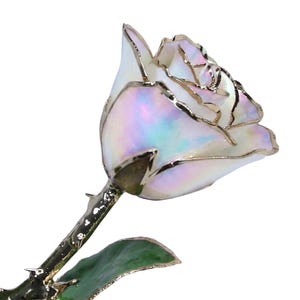 May include: A single rose with iridescent white petals featuring a metallic gold trim along the edges. The stem is metallic gold with visible thorns and a single green leaf with a gold-trimmed edge, extending from the base of the flower head.