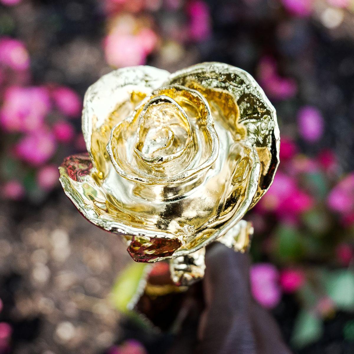 Rose Dorée à L'or Fin 24 Carats - Certificat D'authenticité Inclus - Neuf Avec étiquettes